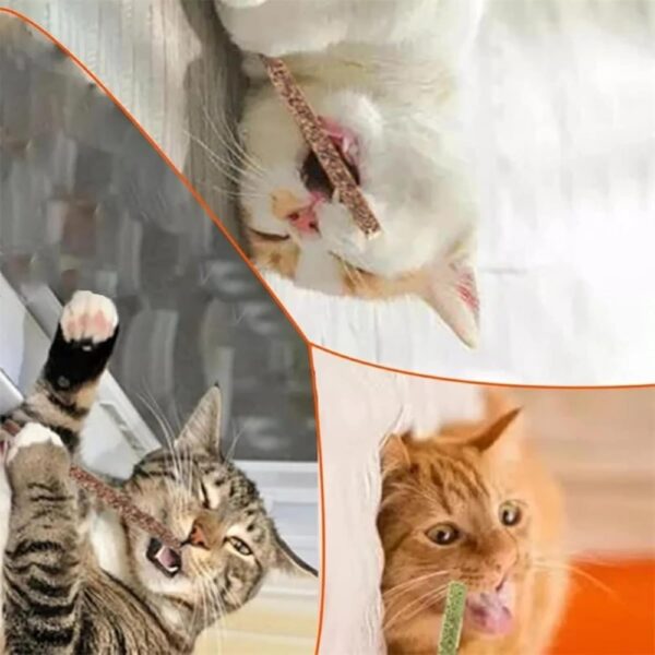 cature Care by Nature Cat Chew Sticks - Natural Catnip Toys With Mint Stick For Cat Teeth Cleaning & Playful Entertainment