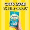 Temptations Crunchy Cat Treats, Tempting Tuna Flavour, 85 g, Goodness of Protein, Vitamins & Minerals, Soft Inside Crunchy Outside, Adult, Pebbles