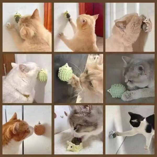 Sunkizzrs® Catnip Toy - Scratching & Rubbing Mint Balls(1 Pcs) Cats Rotatable Edible Mint Natural Healthy Teeth Cleaning Chew Claw Toy for Cat/Kitten (Green Hedgehog)