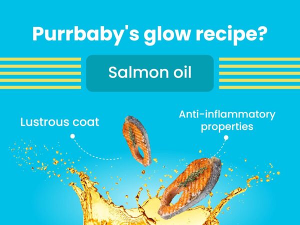 BARK OUT LOUD - Wet Cat Food Fresh Mackerel & Tuna | Omega Enriched, Salmon Oil, Taurine | No Sugar Gravy Cat Food for All Breeds | 85g (Pack of 6)