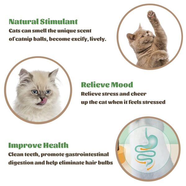 Catnip Wall Toys, Balls for Teeth Cleaning and Biting, Edible Licking Chew Toy, Rotatable Indoor Cat Toy (Green)