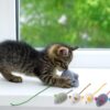 RvPaws Mouse Toy - 6 Pieces Cats Mouse Plush Cat Toys Realistic Cute Kitten Mice Filled Polyfill Rat for Cat