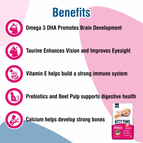 Kitty Yums Kitten(1-12 Months) Dry Cat Food, Ocean Fish, 1.2kg Pack