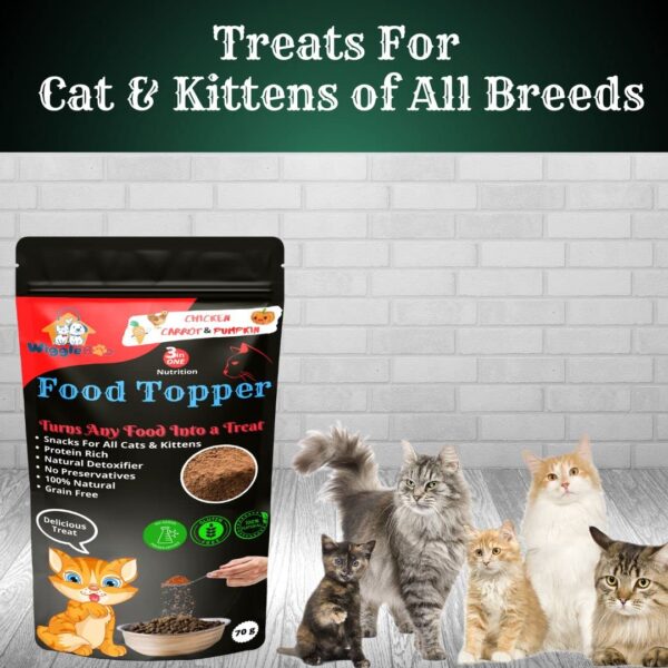 3 in 1 Magical Cat Food Topper || Joy of Best Taste || Chicken, Carrot & Pumpkin Flavour || Grain Free & Protein Rich ||Anti-Oxidant & Natural Dewormer || 70g