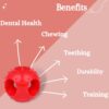 71OQr8RFbTL._SL1500_.jpg Foodie Puppies Natural Rubber Flavored Hole Ball - 2.35inch/ 6cm | Suitable for Small to Medium Dogs and Puppies | Chewing, Teething, and Training Ball Toy