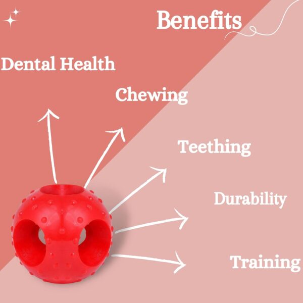 71OQr8RFbTL._SL1500_.jpg Foodie Puppies Natural Rubber Flavored Hole Ball - 2.35inch/ 6cm | Suitable for Small to Medium Dogs and Puppies | Chewing, Teething, and Training Ball Toy