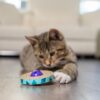 Petstages 701 Spin and Scratch Cat Catnip Toss and Bat Toy