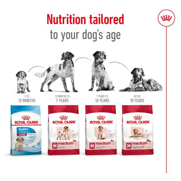 71OcwAiWgL._SL1320_.jpg Royal Canin Medium Adult Dog Food, 1 Kg, Dry Food, Provides Muscle Mass, Supports Complex Natural Defense & Optimal Health Support