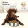Amazon Basics Heavy Dog Bowl | Large Stainless Steel Food Bowl for Dogs, Cats and Pets (Pack of 2 x 1600 ml)