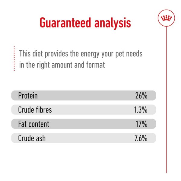 Royal Canin Maxi Adult Dog Food, 220 Grams, Dry Food, Supports Digestive Health & Optimal Health, Provides Bone & Joint Support