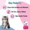 Kitty Yums Kitten(1-12 Months) Dry Cat Food, Ocean Fish, 1.2kg Pack