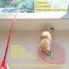 Cat Feather Toy