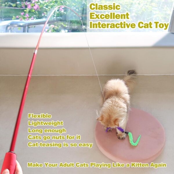 Cat Feather Toy