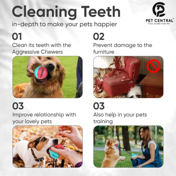 Interactive Toy | Suction Cup Chew Toy for Aggressive Chewers | Treat Dispensing Squeaky Dog Toy for Stimulation and Self-Playing | Tug of War Rope With Teeth Cleaning Ball