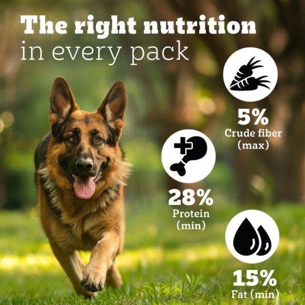 71PDXIII3TL._SL1200_.jpg Pedigree PRO Adult Large Breed, 3 kg Dry Dog Food, Vet Trusted Brand, Expert Nutrition, Quality Protein, 33% More Nutrients (18 Months Onwards)