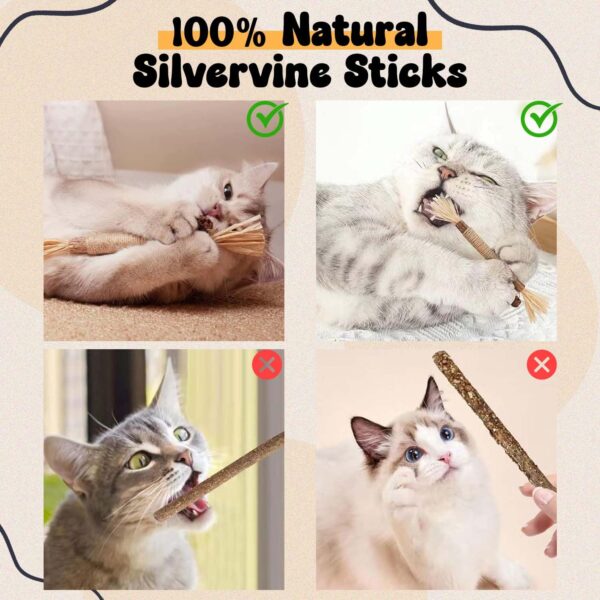 71PFLFQuNkL._SL1500_.jpg Silvervine Cat Toy - 1 Pack, Natural Matatabi Sticks for Indoor Cats, Kitten Chew Toys, Aggressive Chewers, Dental Toy for Kitten Teeth Cleaning