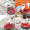 Pawzone Interactive Cat Toys Roller, Spring Cat Toys with Catnip, Kitten Tracks, Pet Toy with Moving Balls Teaser Mouse Exercise