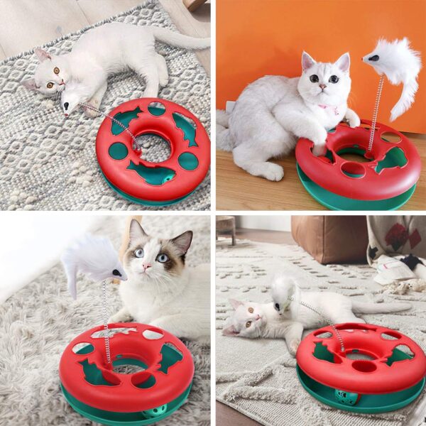 Pawzone Interactive Cat Toys Roller, Spring Cat Toys with Catnip, Kitten Tracks, Pet Toy with Moving Balls Teaser Mouse Exercise