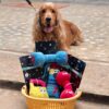 71PJIXefKpL._SL1500_.jpg Goofy Tails Gym Series Dumbbell Plush Toy for Dogs | Squeaky Toy for Dogs and Puppies | Great for Playing Fetch and Retrieve (Red)
