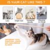 71PJfzSNQYL._SL1024_.jpg Qpets® Premium Cat Toy Interactive Cat Toys Set of 5 Cat Teaser Wand Pet Toy for Cat Activity Fishing Rod with Mouse Natural Feathers Toys for Kittens to Play Cat Games and Toys Mouse Toy