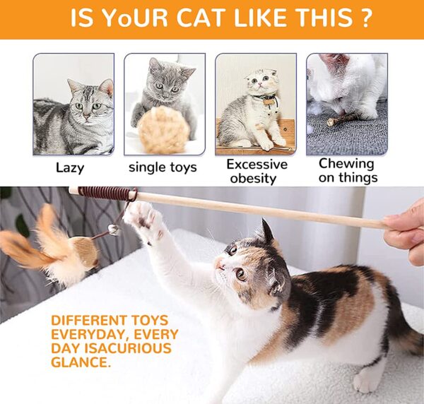 71PJfzSNQYL._SL1024_.jpg Qpets® Premium Cat Toy Interactive Cat Toys Set of 5 Cat Teaser Wand Pet Toy for Cat Activity Fishing Rod with Mouse Natural Feathers Toys for Kittens to Play Cat Games and Toys Mouse Toy