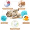 11 Pcs Cat Teething Toys Set, Kittens Catnip Cat Playing Toys for Daily Fun Cat Teething Toys Toys for Cats with 3 Varieties Durable Design for Cat Indoor Use and Daily Play