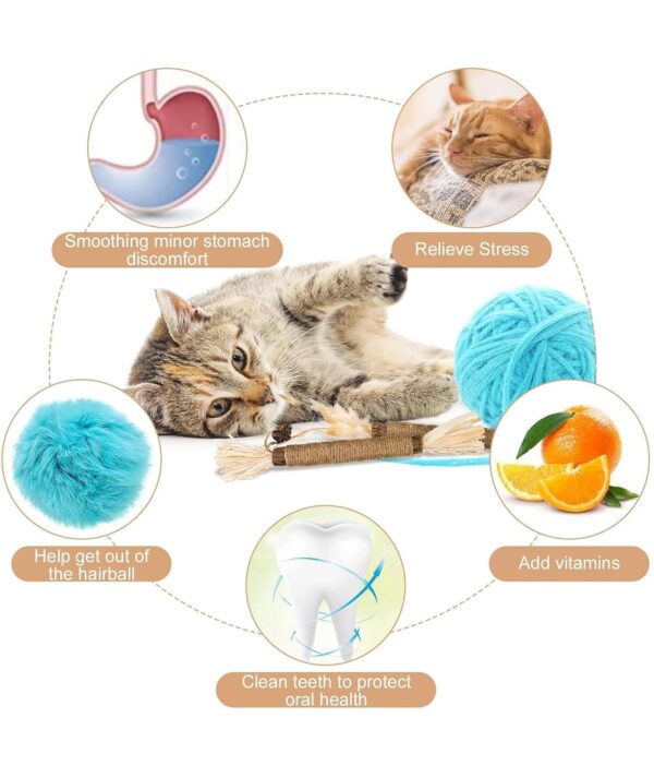 11 Pcs Cat Teething Toys Set, Kittens Catnip Cat Playing Toys for Daily Fun Cat Teething Toys Toys for Cats with 3 Varieties Durable Design for Cat Indoor Use and Daily Play