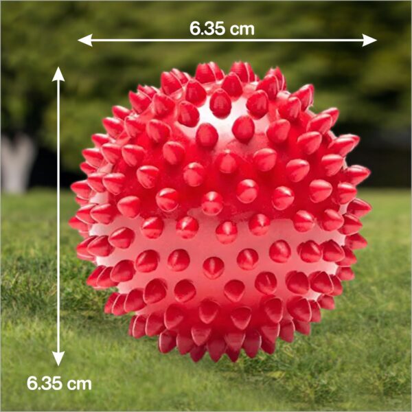 Drools Non-Toxic Rubber Toy for Dogs Hard Ball (Medium) 7.6 cm Pack