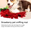 Snuffle Mat for Dogs, Dog Mat, Slow Feeder for Dogs - Interactive Dog Toy with Red Strawberry Design for Mental Stimulation & Treat Hunting