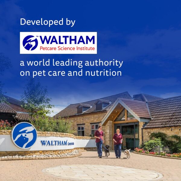 Pedigree Dentastix Oral Care Dog Treat, Adult Medium Breed (10-25 kg), 180 g, Recommended by Vets, Supports Gum Health, Reduces Risk of Gum diseases