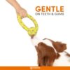 71Q1JVOtXqL._SL1500_.jpg BarkButler x FOFOS Super Puller Tug Toy - Chew Toys for Dogs, Dog Toys for Large Dogs (5-40kgs) - Yellow & Grey