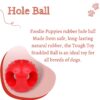 71Q6R1kCHkL._SL1500_.jpg Foodie Puppies Natural Rubber Flavored Hole Ball - 2.35inch/ 6cm | Suitable for Small to Medium Dogs and Puppies | Chewing, Teething, and Training Ball Toy