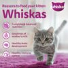 71QVV621o3L._SL1500_.jpg Whiskas Junior Mother Cat & Kitten (2-12 Months) Dry Cat Food, Mackerel Fish Flavour, 450 g, Contains 41 Essential Nutrients, Complete & Balanced Nutrition for Mother Cats & Kittens