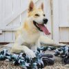 71QaperUwL._SL1500_.jpg PSK PET MART Large Dog Rope Toys for Aggressive Chewers - Cotton Rope Dog Chew Toys for Tug of War and Training