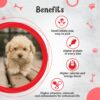 71QcgArFtKL._SL1500_.jpg Drools Small Breed Puppy Dog Food, 1.2kg + Free Creamy Dog Treat (75g)