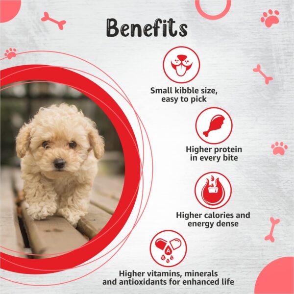 71QcgArFtKL._SL1500_.jpg Drools Small Breed Puppy Dog Food, 1.2kg + Free Creamy Dog Treat (75g)
