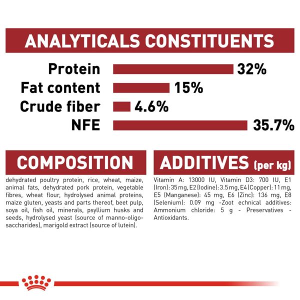 Royal Canin Fit 32 Regular for Adult Cats, 1 Kg, Dry Food, Supports Optimal Nutrient Profile and Healthy Weight