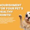 71REXUCPMIL._SL1500_.jpg Bark Out Loud Adult Dry Dog Food for All Breeds – Salmon and Turkey Formula, Pet Nutrition, Rich in Novel Protein and Prebiotics, Fresh Salmon, Super Herbs Low Grain, 300 gm (100 gm x 3)