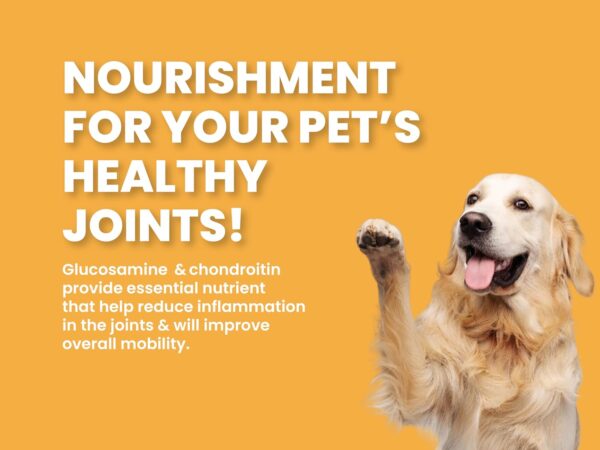 71REXUCPMIL._SL1500_.jpg Bark Out Loud Adult Dry Dog Food for All Breeds – Salmon and Turkey Formula, Pet Nutrition, Rich in Novel Protein and Prebiotics, Fresh Salmon, Super Herbs Low Grain, 300 gm (100 gm x 3)