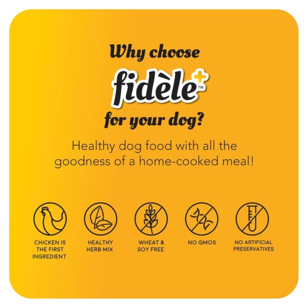 Fidele+ Dry Dog Food 1 Kg Large Breed Puppies Complete & Balanced Diet Supports Growth, Energy, Joints & Immunity No Artificial Flavours, Preservatives