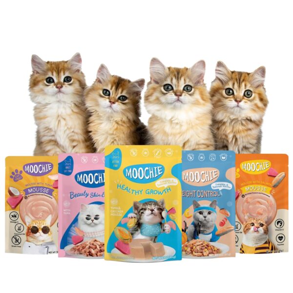 PETS EMPIRE Moochie Tasty Wet Cat Food (85 g Pack X 5) Grain Free Cats Gravy Meal, No Artificial Flavours Kitten Food, Non-Vegetarian Cat Foods Pouch, All Flavours Mix for Adults & Kittens