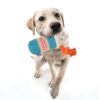 71RZ5bEQhfL._SL1500_.jpg BarkButler x Fofos Birthday Drink Plush - Soft & Squeaky Toys for Dogs, Dog Toys for Medium Dogs (0-20kgs) - Multicoloured