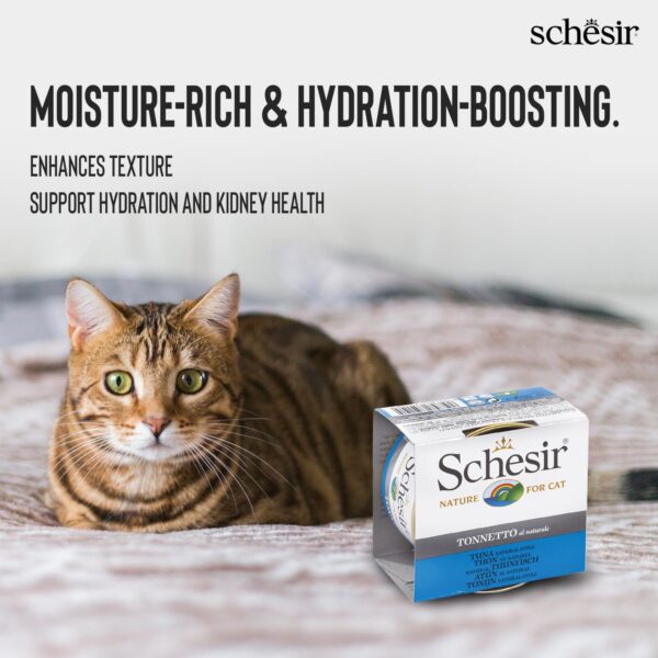 71RgCXU5QaL._SL1500_.jpg Schesir Tuna Natural Style Cat Wet Food – Premium High-Protein Tuna Fillets, 85g 100% Natural, Grain-Free, Omega-Rich Nutrition(Pack of 3)