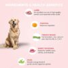 71RmjOI6wmL._SL1500_.jpg Benny's Bowl Fresh & Wet Dog Food - Lamb and French Beans - 15 Packs x 100 G |, Human-Grade, Gently Cooked | Natural Wet Food for Dogs,All Life Stages