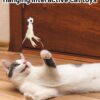 Cat Nip Bird Toys for Persian Cats, Interactive Laser Light Toys, 1 Set of Durable Feather for Indoor Cats, Engaging Playtime for Active