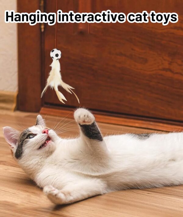 Cat Nip Bird Toys for Persian Cats, Interactive Laser Light Toys, 1 Set of Durable Feather for Indoor Cats, Engaging Playtime for Active