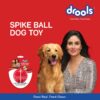 Drools Non-Toxic Rubber Toy for Dogs Hard Ball (Medium) 7.6 cm Pack