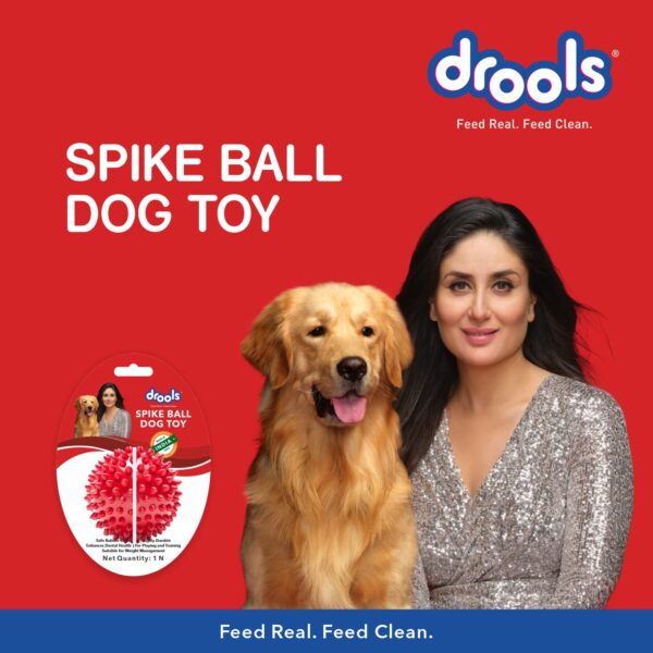 Drools Non-Toxic Rubber Toy for Dogs Hard Ball (Medium) 7.6 cm Pack