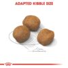 Royal Canin Giant Puppy Food, 1 Kg, Dry Food, Supports Immune System, Bone & Joint Health, Promotes Growth controlled Energy