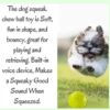 Foodie Puppies 2in1 Dog Toy Combo - (9inch Bone + Claw Ball) | Natural Latex Rubber Toys for Medium to Large Dogs | Durable, Chewing, Fetching, Playing, Teething & Training Chew Safe Play Toy